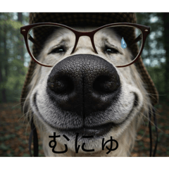 shige_20260419183725