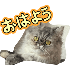 ANYO_20260423140953