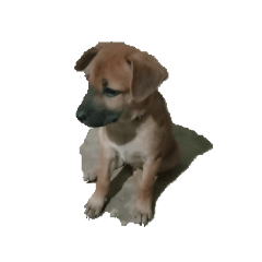 ponrttp_20260423123644