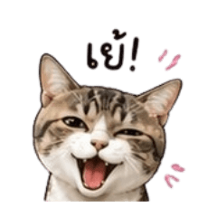 korn Inw za007_20260423122738