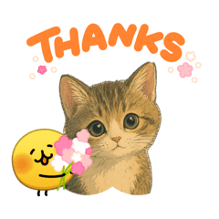 bikkuri117_20260423181738