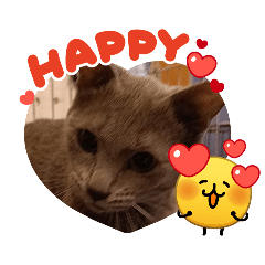 okazakiayataka_20260423182306