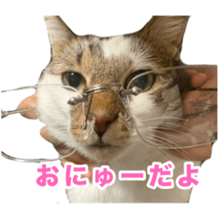 kotetuuu_20260423183005