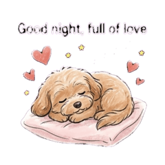 禮貌小毛球Parco