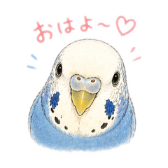 mamepiyo_20260423183418