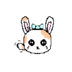 Cute little bunny cutie