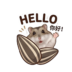 小倉鼠波波的日常生活