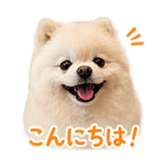 kuromame_20260423142037