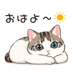 Lazy Cute Cat No1 Daily Stickers