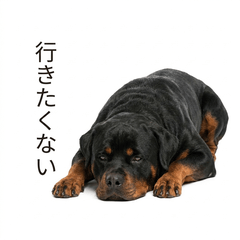 Rottweiler 真心話貼圖 - 搞笑 - AG