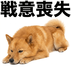 Finnish Spitz 真心話貼圖 - 搞笑 - AG