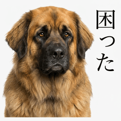 Leonberger 真心話貼圖 - 搞笑 - AG