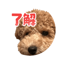 Manasan_20260423193608