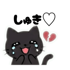 1129954_20260423142738