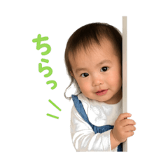 memeko_20260423150011