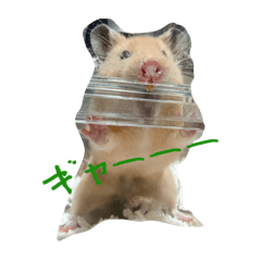 ogisu_20260423150053