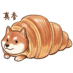 柴犬 ✨ 百變療癒日常 台灣版