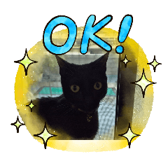 貓咪珍珠(*¯︶¯*)