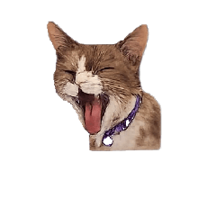 Mint supatsorn_20260423173344