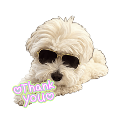 nikoniko_20260423200549