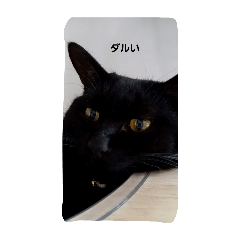 dp(^^)q_20260423200918