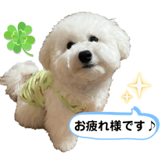 Vanilla_20260423201032