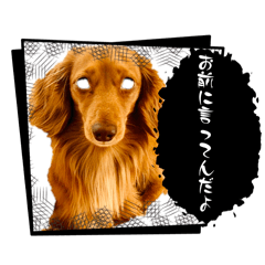 Ri-co_20260423202942