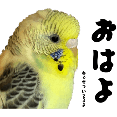 Minomusi_20260423151443