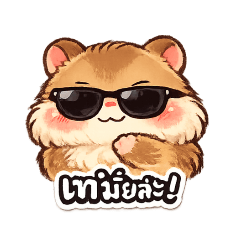 rapeephan1146_20260423134524