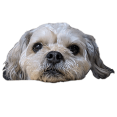 marin_20260423205727