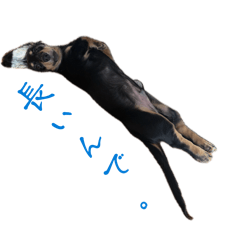 MinMin_20260423210427