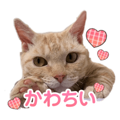 YamaHaru_20260423212743