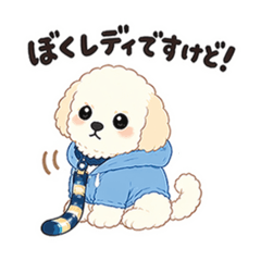 RID design_20260423212039