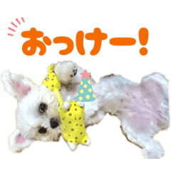 kurutan_20260423212431