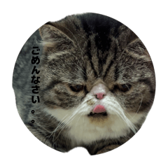 mu-tinmaru..._20260423212016