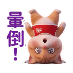 有原則的胖橘貓