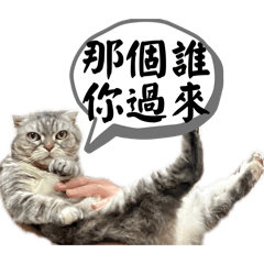 最可愛的小天使Miu Miu