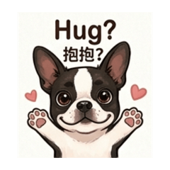 波士頓㹴犬Pink-日常生活篇2