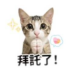 妞。寶 Daily life