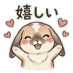 Holland Lop Daily Life2