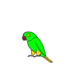 Birds Without Words
