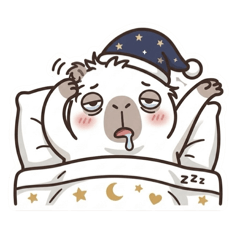 軟萌水豚傻小白2