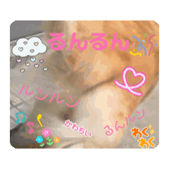 ASLAN ISAO_20260423180031