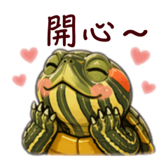 紅耳龜(巴西龜)終於來了