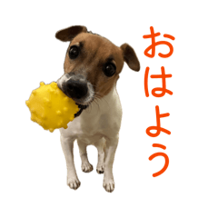 t.RIKA_20260423201319