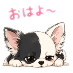 myvnet20935_20260423203702