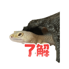 ryushi_20260423204525