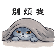 波波藍貓辦公中