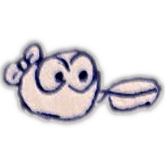 Dr. C and Ra : A scientist life