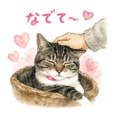 cocoa_20260423152039